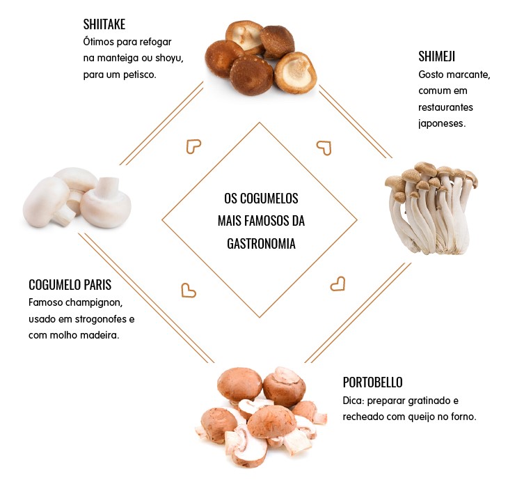 Shitake: Os benefícios do cogumelo e como inclui-lo na dieta - Vitat
